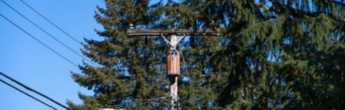 Understanding the Role of Electrical Transformers in Home