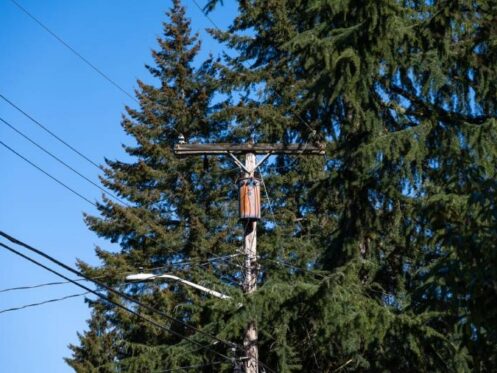 Understanding the Role of Electrical Transformers in Home